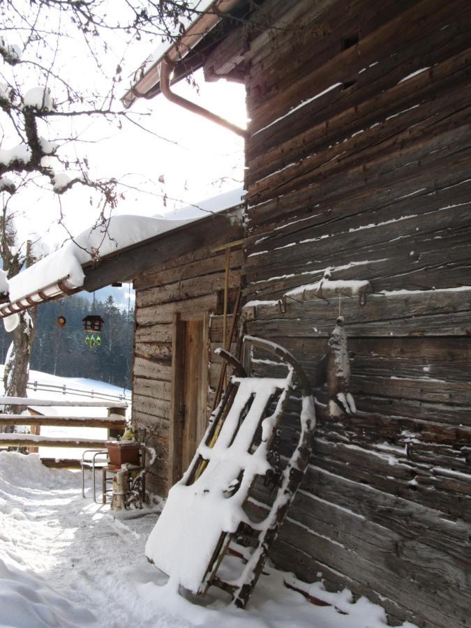 Bio-Bauernhof Einberghof Pfarrwerfen Exterior foto