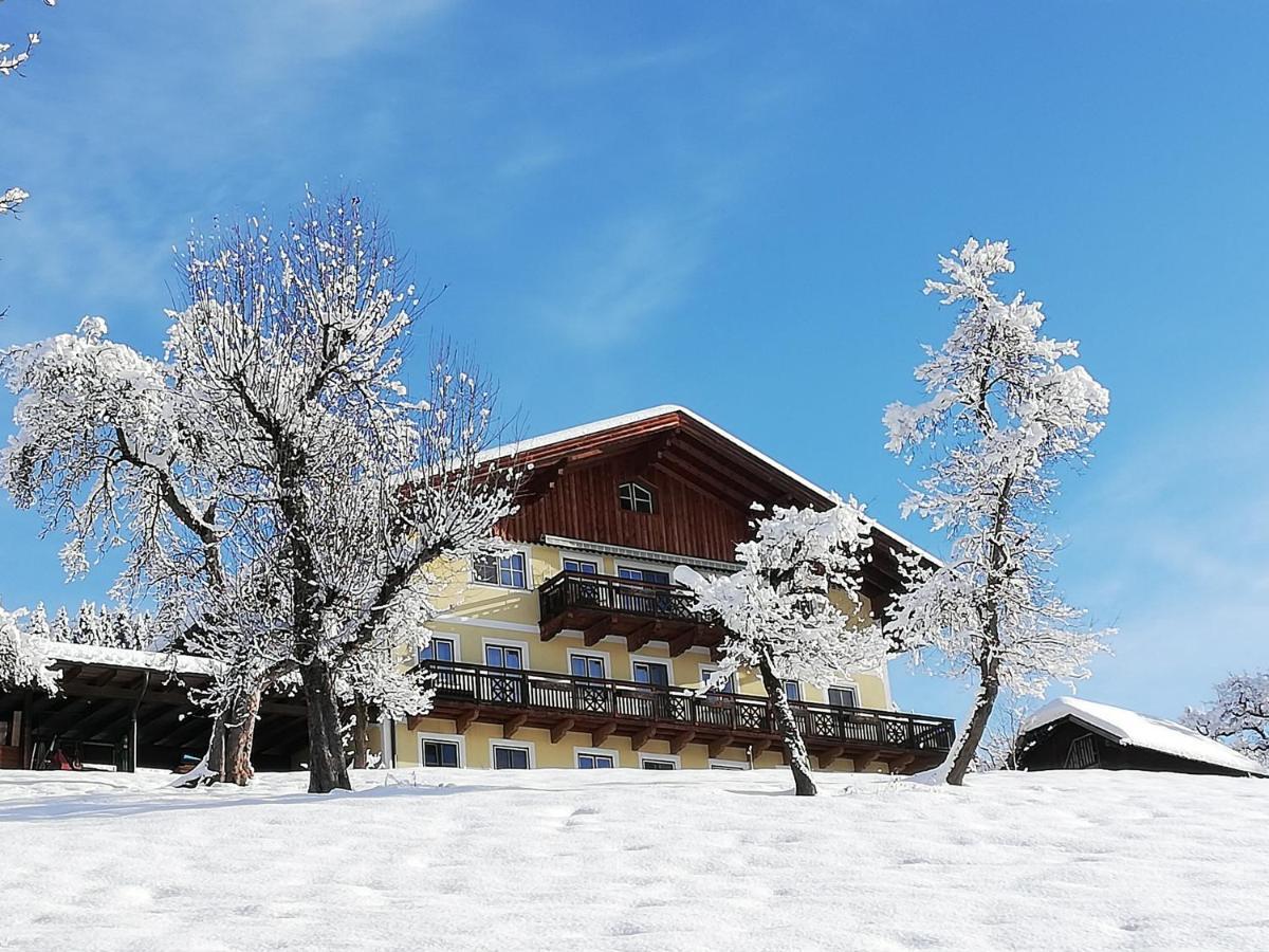 Bio-Bauernhof Einberghof Pfarrwerfen Exterior foto
