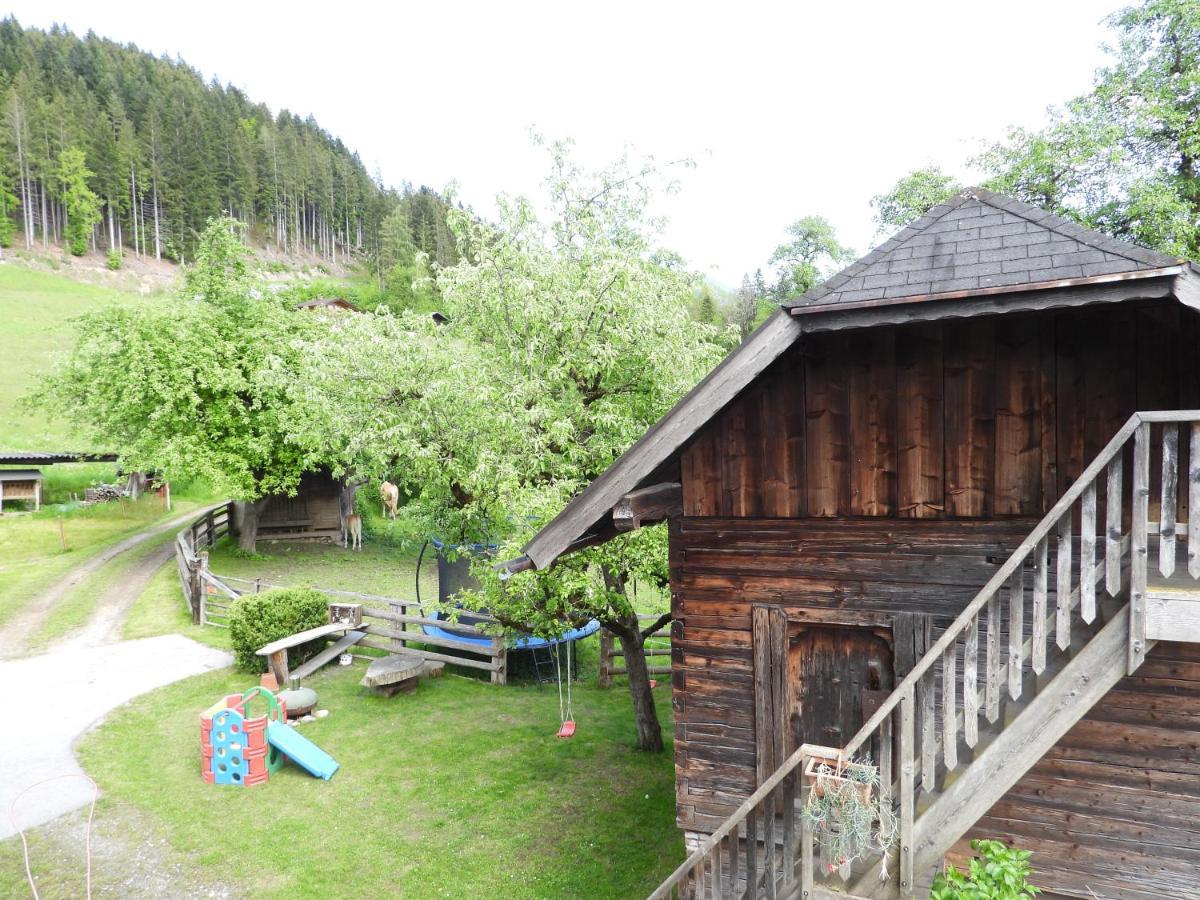 Bio-Bauernhof Einberghof Pfarrwerfen Exterior foto