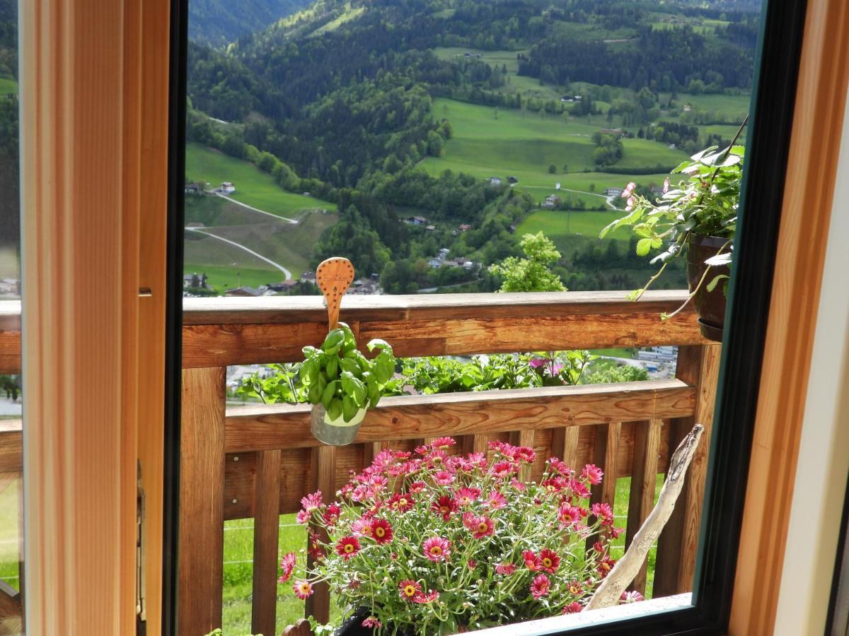 Bio-Bauernhof Einberghof Pfarrwerfen Exterior foto