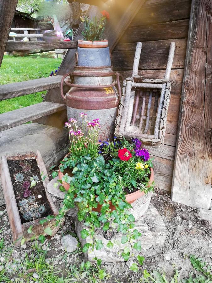 Bio-Bauernhof Einberghof Pfarrwerfen Exterior foto