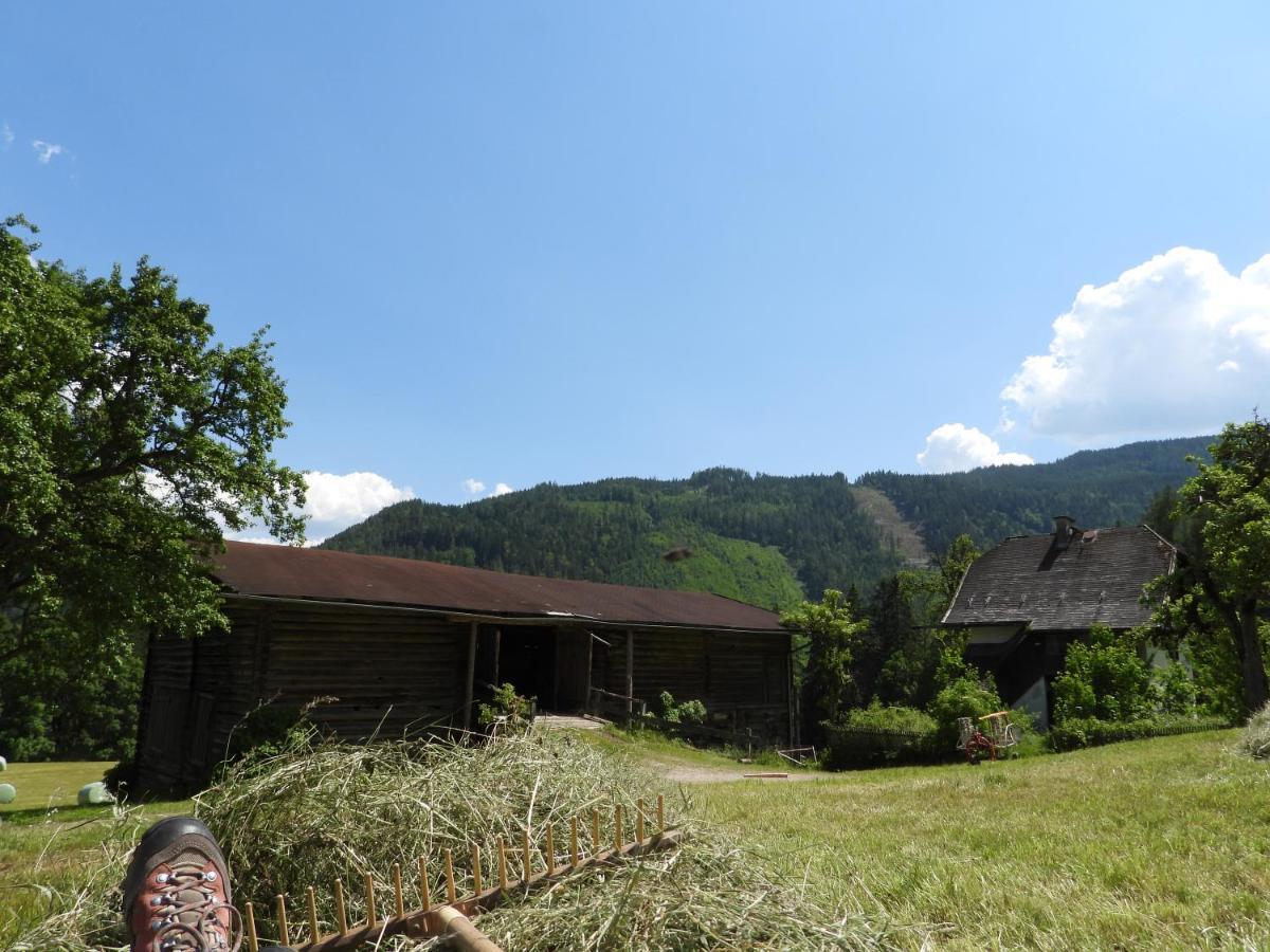 Bio-Bauernhof Einberghof Pfarrwerfen Exterior foto