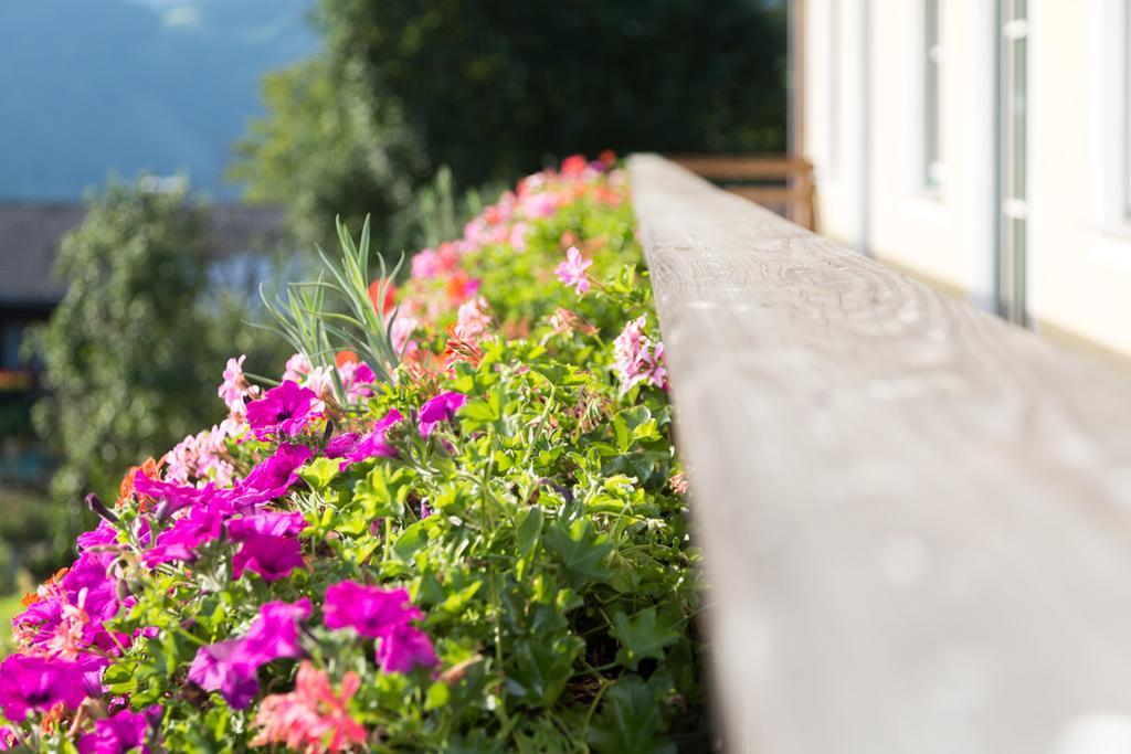 Bio-Bauernhof Einberghof Pfarrwerfen Exterior foto