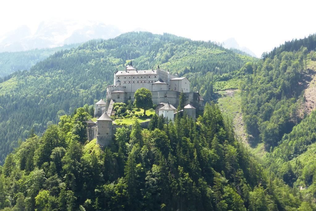 Bio-Bauernhof Einberghof Pfarrwerfen Exterior foto