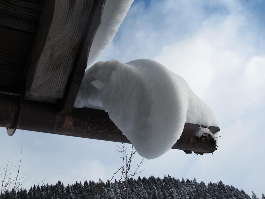 Bio-Bauernhof Einberghof Pfarrwerfen Exterior foto