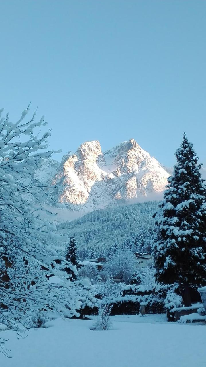 Bio-Bauernhof Einberghof Pfarrwerfen Exterior foto